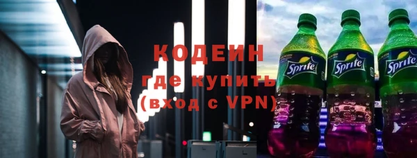 индика Бородино