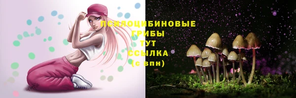 винт Верея