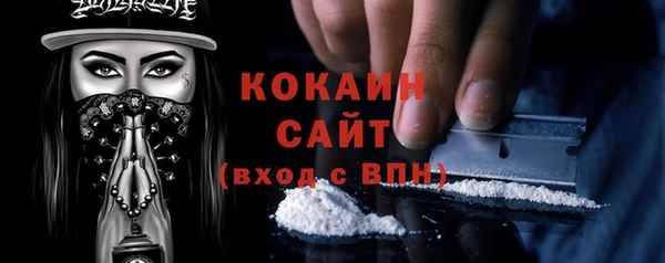 винт Верея