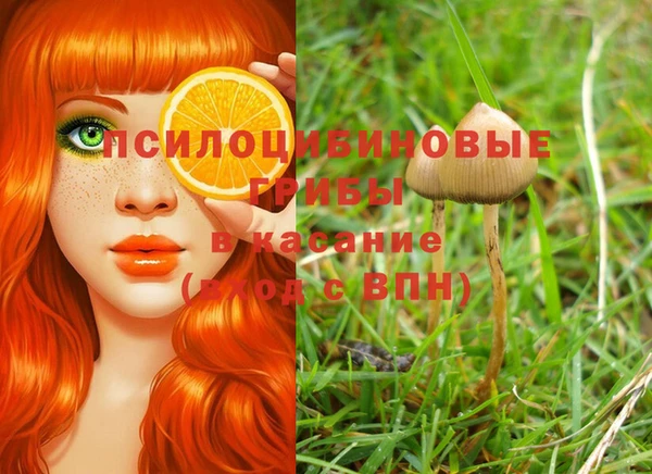 экстази Верхний Тагил