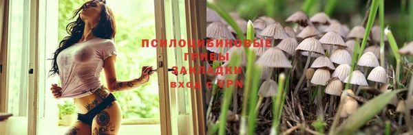 винт Верея